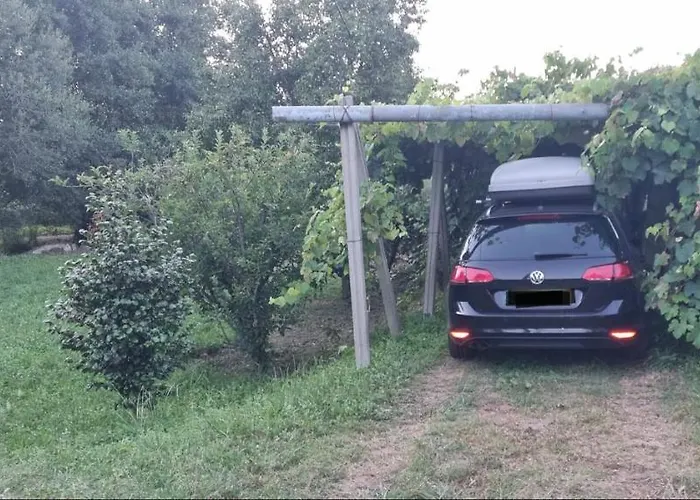 A Casa De Abaixo Loira